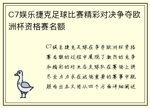 C7娱乐捷克足球比赛精彩对决争夺欧洲杯资格赛名额